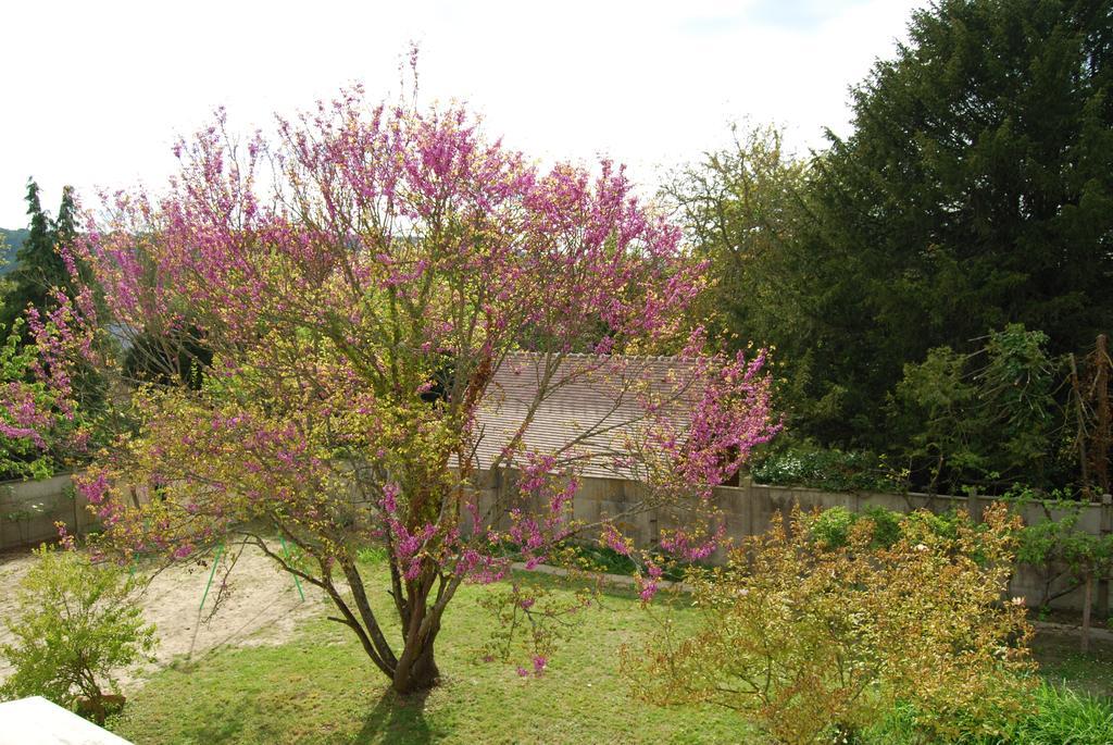 Villa Ramier Giverny Esterno foto